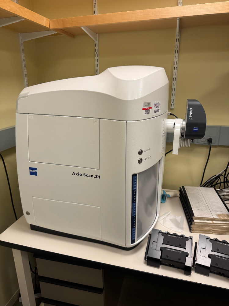 Image of Zeiss Axio Scan.Z1 Slide Scanner